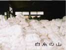 白糸の山